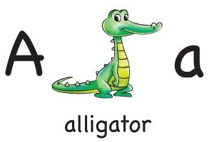 Карточка для детей A alligator