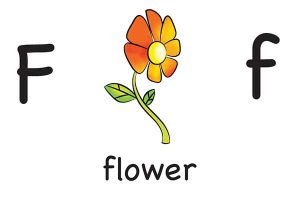 Карточка на английском flower