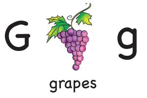 Карточка на английском grapes