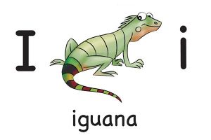 Карточка на английском iguana