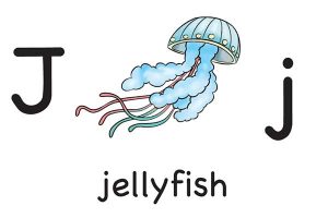 Карточка на английском jellyfish