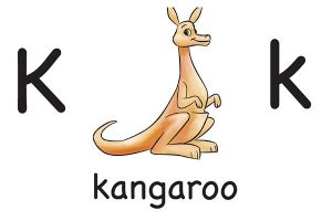 Карточка на английском kangaroo