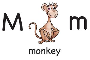 Карточка на английском monkey