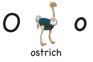 Карточка на английском ostrich