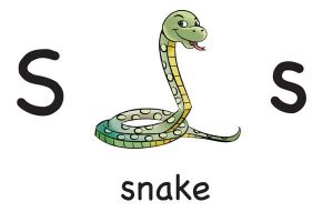 Карточка на английском snake