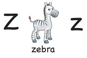 Карточка на английском zebra