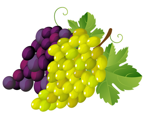 Ягоды, виноград по-английски - grapes [greɪps]